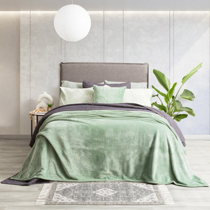 Plush Velvet Blanket Eucalyptus