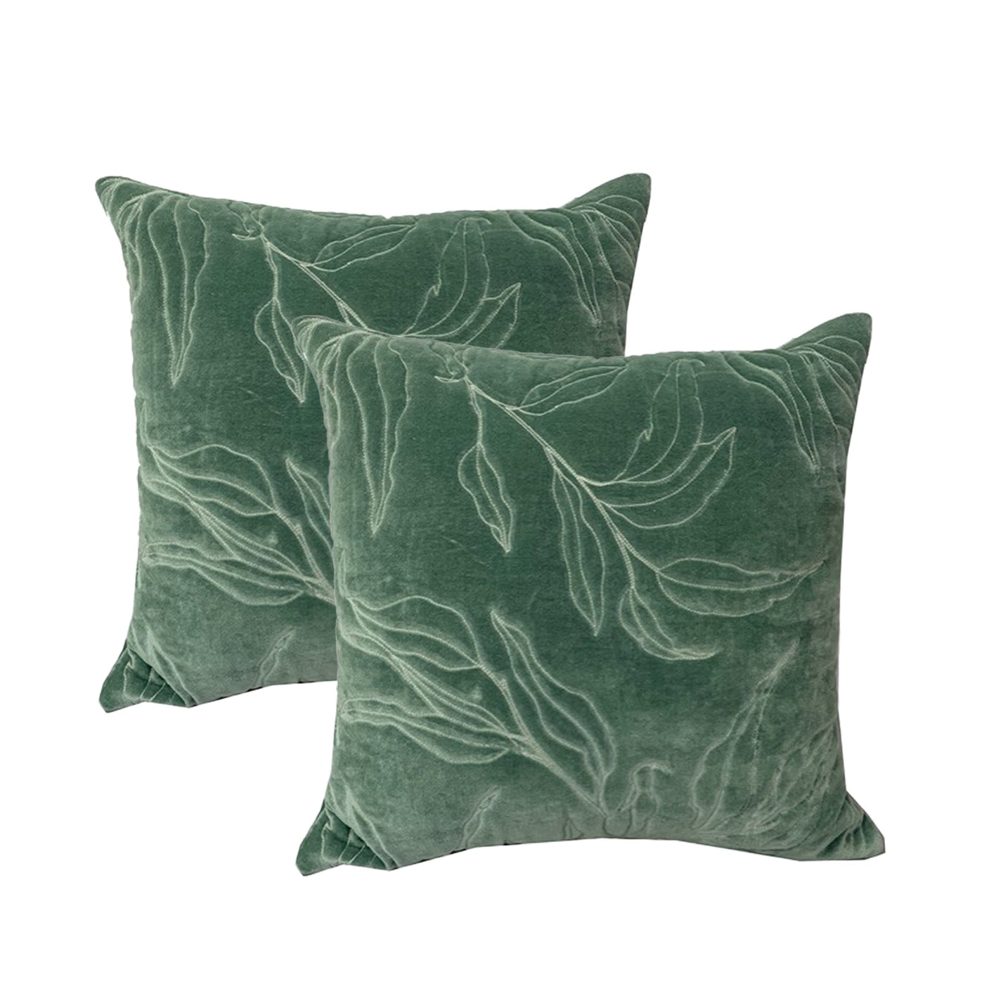 Sophie Cotton Velvet Cushions Juniper 50 x50 Cms Twin Pack