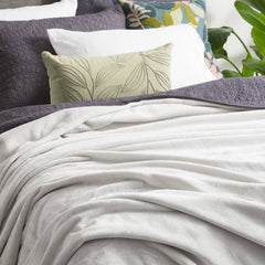 Plush Velvet Blanket Silver Line