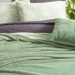 Plush Velvet Blanket Eucalyptus