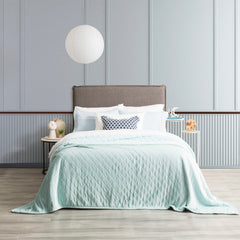 Heston Sherpa Velvet Blanket Blue