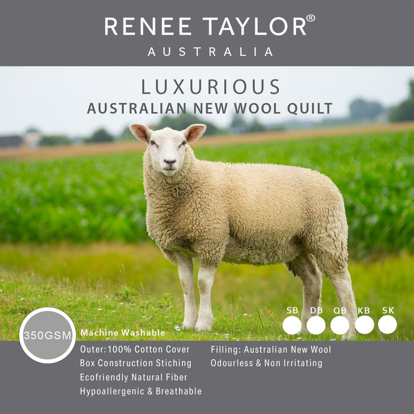 Luxurious Australian New Wool Quilt 350 GSM